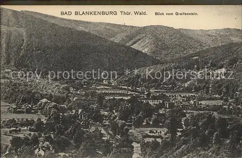 Bad Blankenburg Blick vom Greifenstein Kat. Bad Blankenburg
