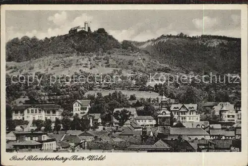 Bad Blankenburg Stadtansicht Burg Greifenstein Kat. Bad Blankenburg