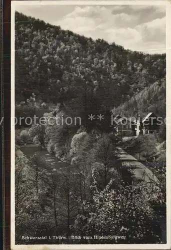 Schwarzatal Blick vom Hindenburgweg Kat. Rudolstadt