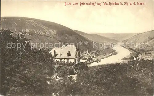 Alf Mosel Blick vom Prinzenkopf auf Waldfrieden Kat. Alf