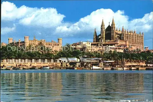 Palma de Mallorca La Catedral y La Lonja Kat. Palma de Mallorca