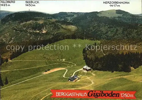 Geschwend Todtnau Berggasthaus Gisiboden mit Feldberg und Herzogenhorn Fliegeraufnahme Kat. Todtnau