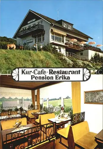 Niedersfeld KurCafe Restaurant Pension Erika Gaststube Kat. Winterberg