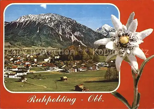 Ruhpolding Gesamtansicht mit Rauschberg und Sonntagshorn Chiemgauer Alpen Edelweiss Kat. Ruhpolding