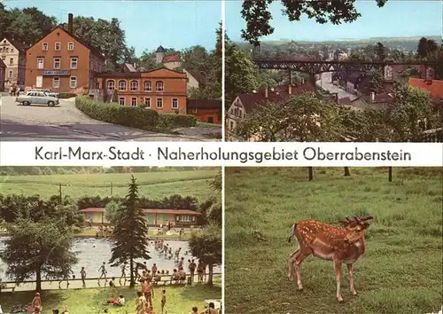 Karl Marx Stadt Naherholungsgebiet Oberrabenstein Burg Freibad Dammhirsch im Wildgehege Kat. Chemnitz