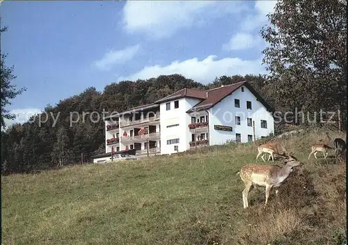 Neunburg Wald Berggasthof Pension Warberg Rotwild Kat. Neunburg vorm Wald