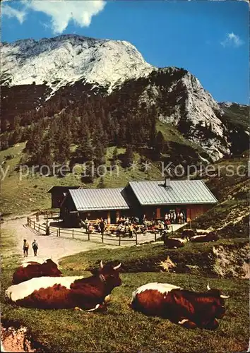 Berchtesgaden Mitterkaser Alm mit Hohem Brett Kat. Berchtesgaden