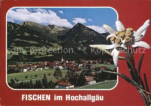 Fischen Allgaeu  Kat. Fischen i.Allgaeu