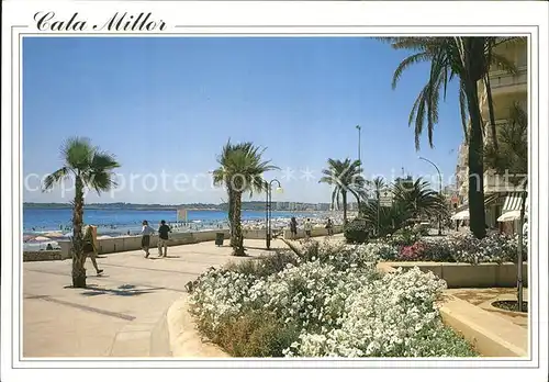 Cala Millor Mallorca Uferpromenade Palmen Kat. Islas Baleares Spanien