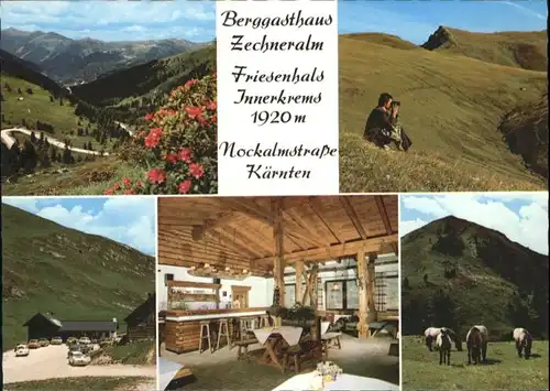 Kremsbruecke Berggasthaus Zechneralm * / Krems in Kaernten /Oberkaernten