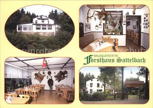 Oberhof Thueringen Waldgaststaette Forsthaus Sattelbach Kat. Oberhof Thueringen