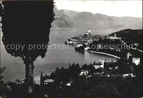 Malcesine Lago di Garda Panorama Gardasee Kat. Malcesine