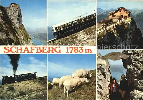 Schafberg Salzkammergut Gipfel Bergbahn Berghuette Schafe Himmelspforte Kat. St Wolfgang am Wolfgangsee