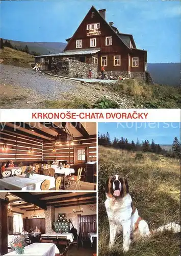Krkonose Chata Dvoracky Bernhardiner Kat. Polen