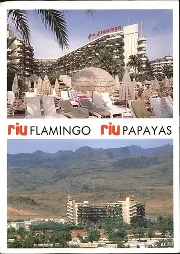 Playa del Ingles Gran Canaria Aparthotel Riu Flamingo mit Hotel Riu Papayas Kat. San Bartolome de Tirajana