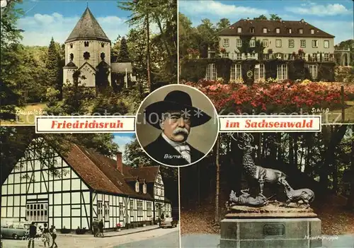 Friedrichsruh Aumuehle Sachsenwald Kat. Aumuehle