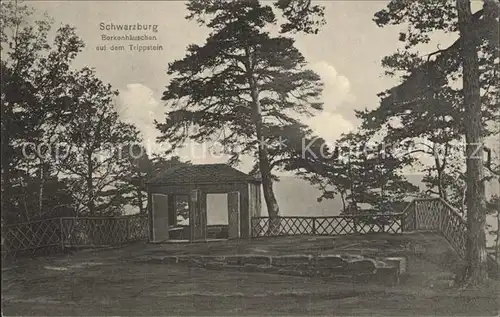 Schwarzburg Thueringer Wald Borkenhaeuschen auf dem Trippstein Kat. Schwarzburg