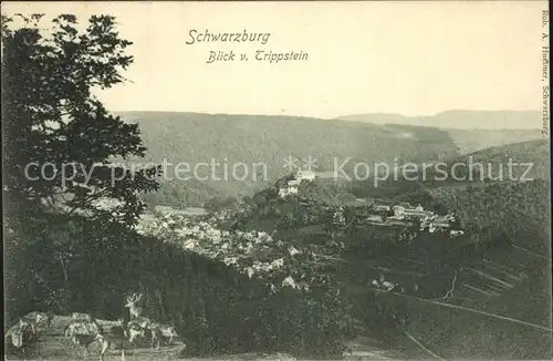 Schwarzburg Thueringer Wald Blick vom Trippstein Kat. Schwarzburg