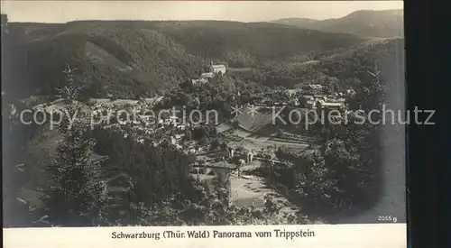 Schwarzburg Thueringer Wald Panorama vom Trippstein Kat. Schwarzburg