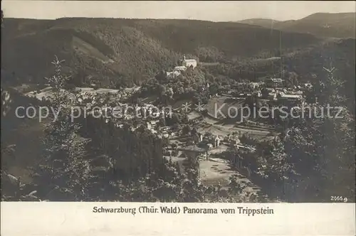 Schwarzburg Thueringer Wald Panorama vom Trippstein Kat. Schwarzburg