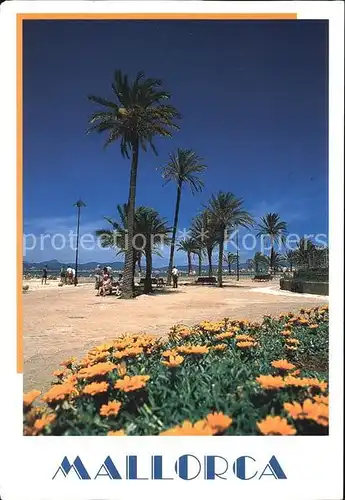 Mallorca Strandpromenade Kat. Spanien