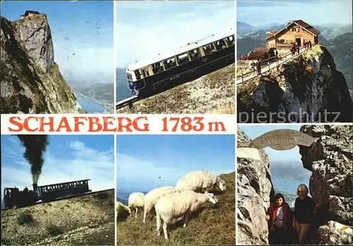 Schafberg Attersee Bergbahn Gipfel Huette Schafe Himmelspforte