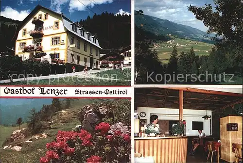 Strassen Tirol Gasthof Lenzer Panorama Alpenflora Kat. Strassen