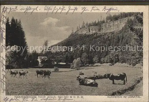 Finsterbergen Kuhherde im Leinatal Kat. Finsterbergen Thueringer Wald