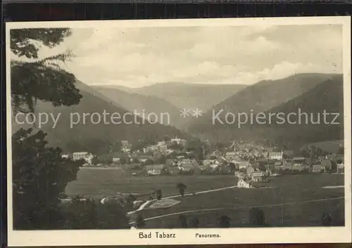 Tabarz Panorama Kat. Tabarz Thueringer Wald