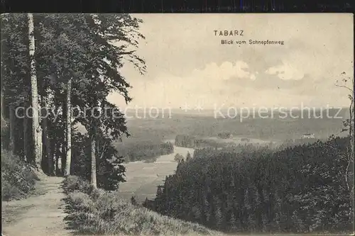 Tabarz Blick vom Schnepfenweg Kat. Tabarz Thueringer Wald