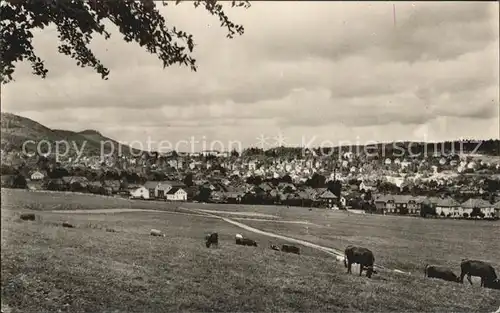 Friedrichroda Panorama Kat. Friedrichroda