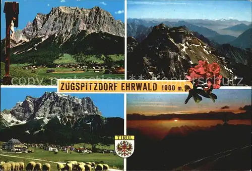 Ehrwald Tirol Zugspitzdorf Wegkreuz Panorama / Ehrwald /