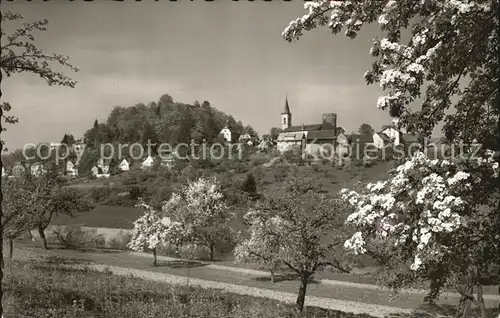 Lindenfels Odenwald Panorama Kat. Lindenfels