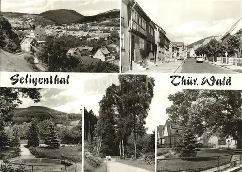 Seligenthal Panorama Strassenpartie Park Waldweg Kat. Floh Seligenthal