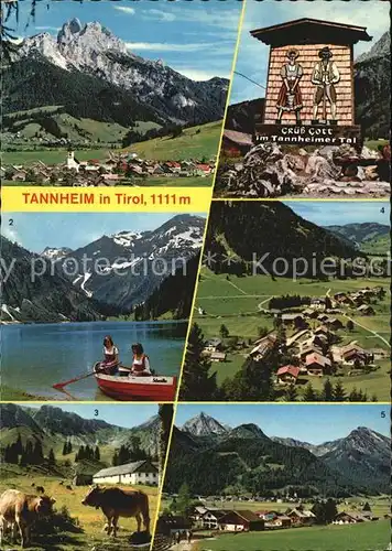 Tannheim Tirol Panorama Vilsalpsee aelpele Schmieden und Bogen Innergschwend Geishorn Kat. Tannheim