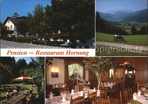 Miesenbach Niederoesterreich Pension Restaurant Hornung Garten Gastraum Panorama Kat. Miesenbach