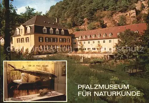 Grethen Bad Duerkheim Pfalzmuseum fuer Naturkunde Kat. Bad Duerkheim