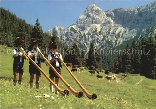 Schwangau Alphornblaeser Alpe Jaegerhuette mit Geierkoepfen Almvieh Kat. Schwangau