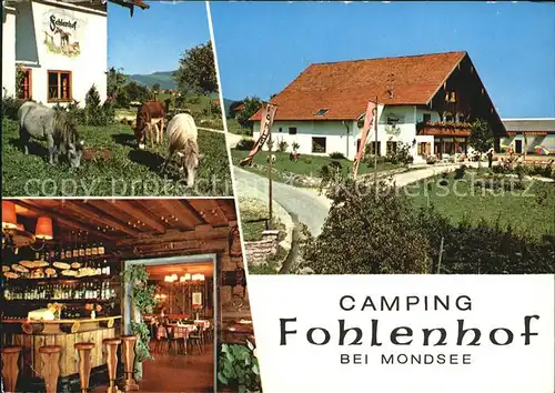 Mondsee Salzkammergut Fohlenhof Camping Ponnys Bar Restaurant Kat. Mondsee