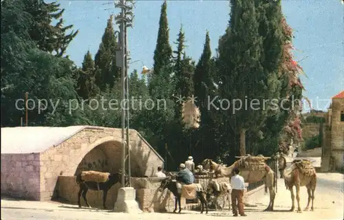 Nazareth Israel Public Well Kat. Nazareth Illit