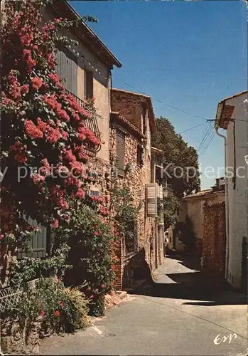 Grimaud Une rue fleuri La Cote des Maures Kat. Grimaud