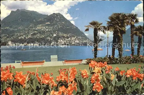 Lugano TI Paradiso Monte Bre Kat. Lugano