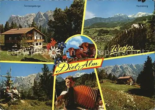 Werfen Salzburg Diel Alm Tennengebirge Hochkoenig Gipfelkreuz Ziehharmonikaspieler Kat. Werfen