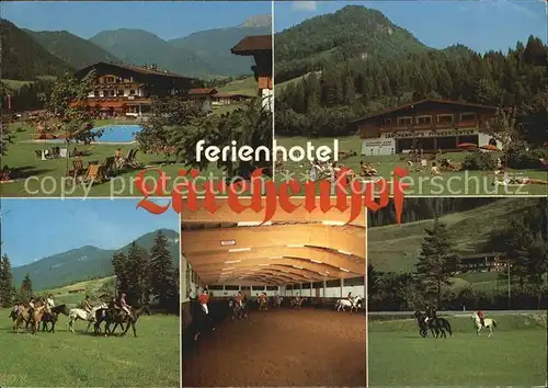 Erpfendorf Ferienhotel Laerchenhof Schwimmbad Reiten Liegewiese Kat. Kirchdorf in Tirol