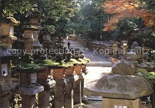 Nara Kasuga Shrine Kat. Japan