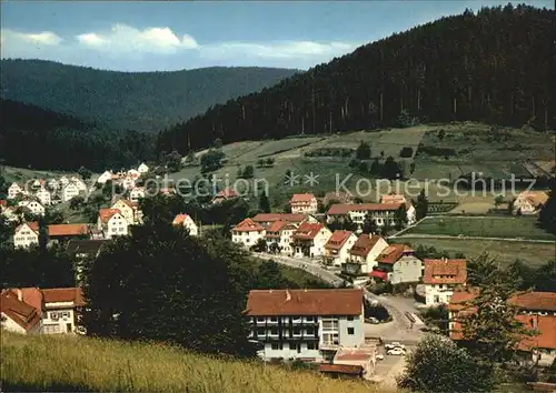 Enzkloesterle Teilansicht Kat. Enzkloesterle