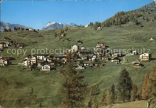 Chamois Aostatal 