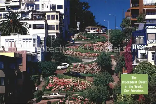 San Francisco California Lombard Street Kat. San Francisco