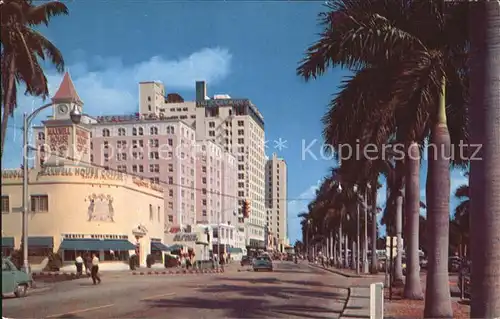 Miami Florida Biscayne Blvd looking north Hotels and Royal Palms Kat. Miami