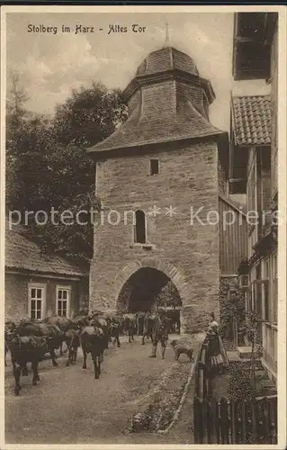 Stolberg Harz Altes Tor Kat. Stolberg Harz